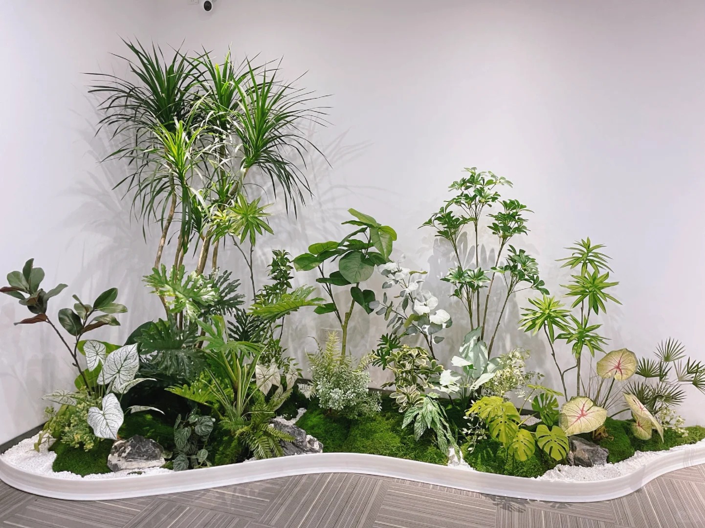 体验宁波花木租赁专业魅力，拥抱自然气息